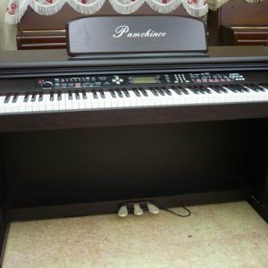 PAMCHINCO電鋼琴(00)